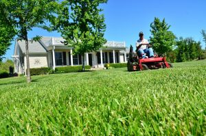 Answering Service for Lawn Care Company