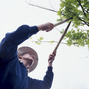 Answering Service for Tree Trimming Service